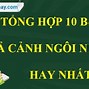 Bài Văn Tiếng Anh Tả Về Ngôi Nhà Ngắn Gọn