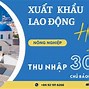 Công Ty Xklđ Vinacom Miền Bắc 2 Số Điện Thoại