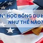 Học Bổng Ngành Y Của Mỹ 2024 Mới Nhất Download Free Full Version