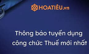 Kế Hoạch Thi Tuyển Công Chức Thuế 2024