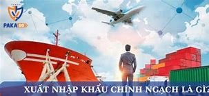 Nhập Chính Ngạch Và Tiểu Ngạch