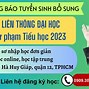 Văn Bằng 2 Ngôn Ngữ Trung Tphcm