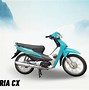 Xe Máy Victoria 50Cc Của Hàng Nào